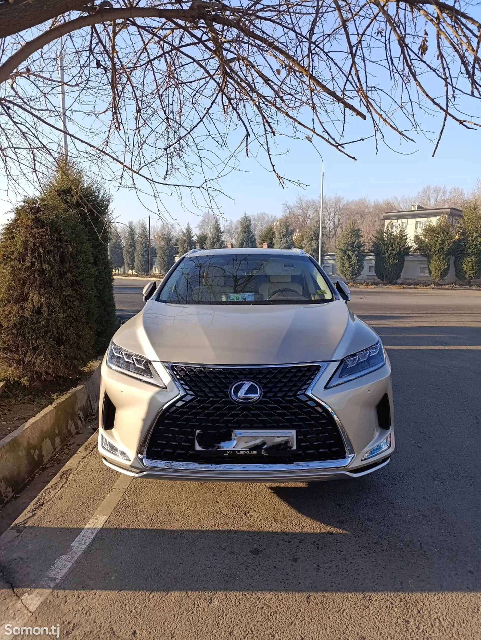 Lexus RX series, 2016-1