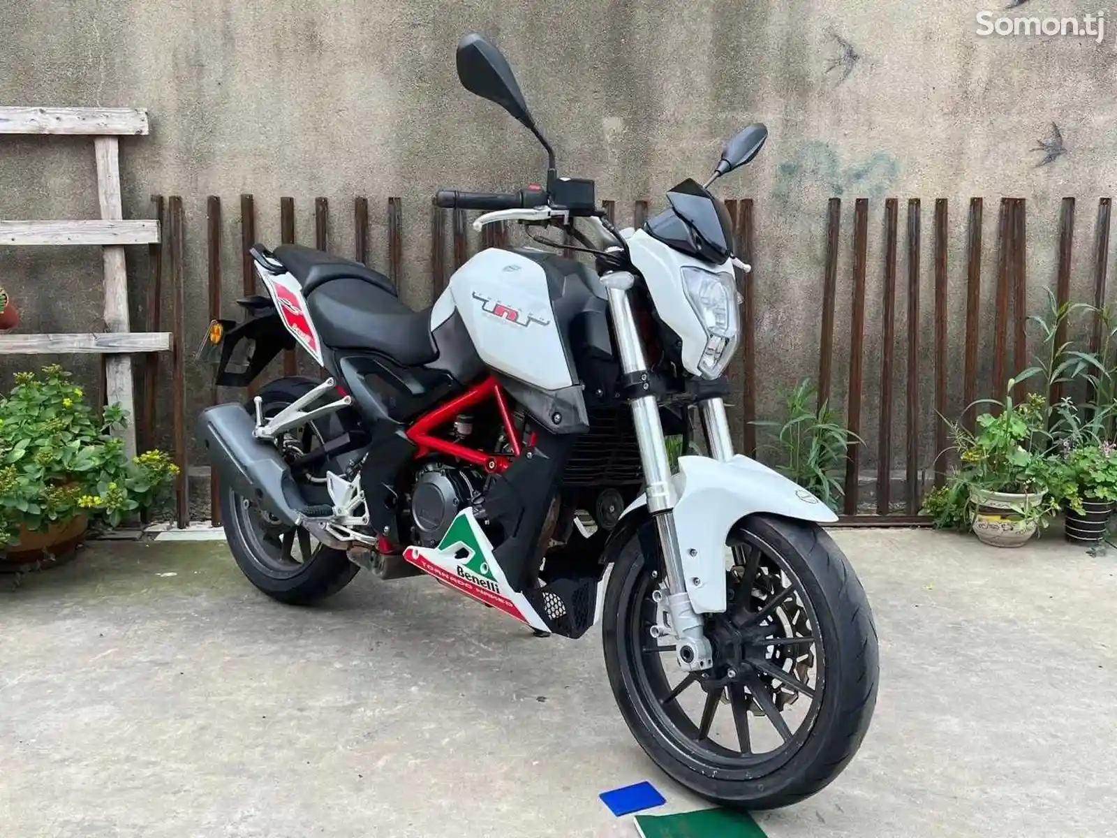 Мотоцикл Benelli TNT-250cc на заказ-1