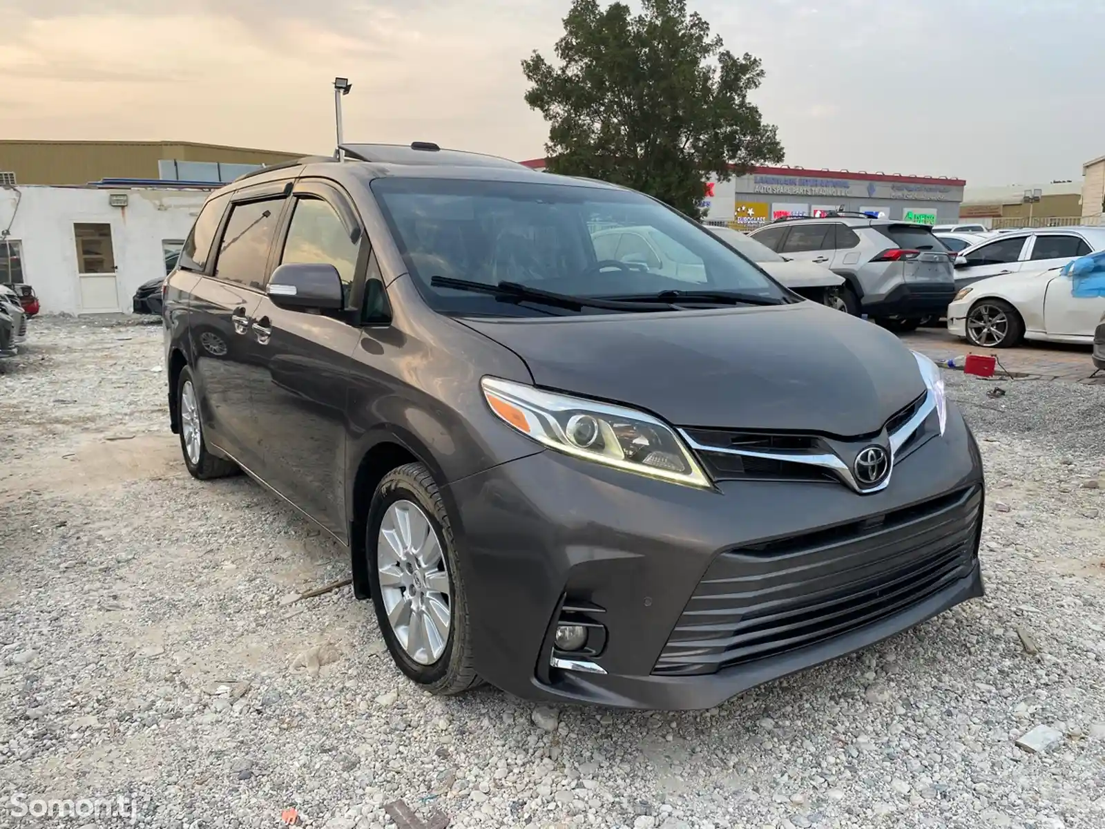 Toyota Sienna, 2015-1