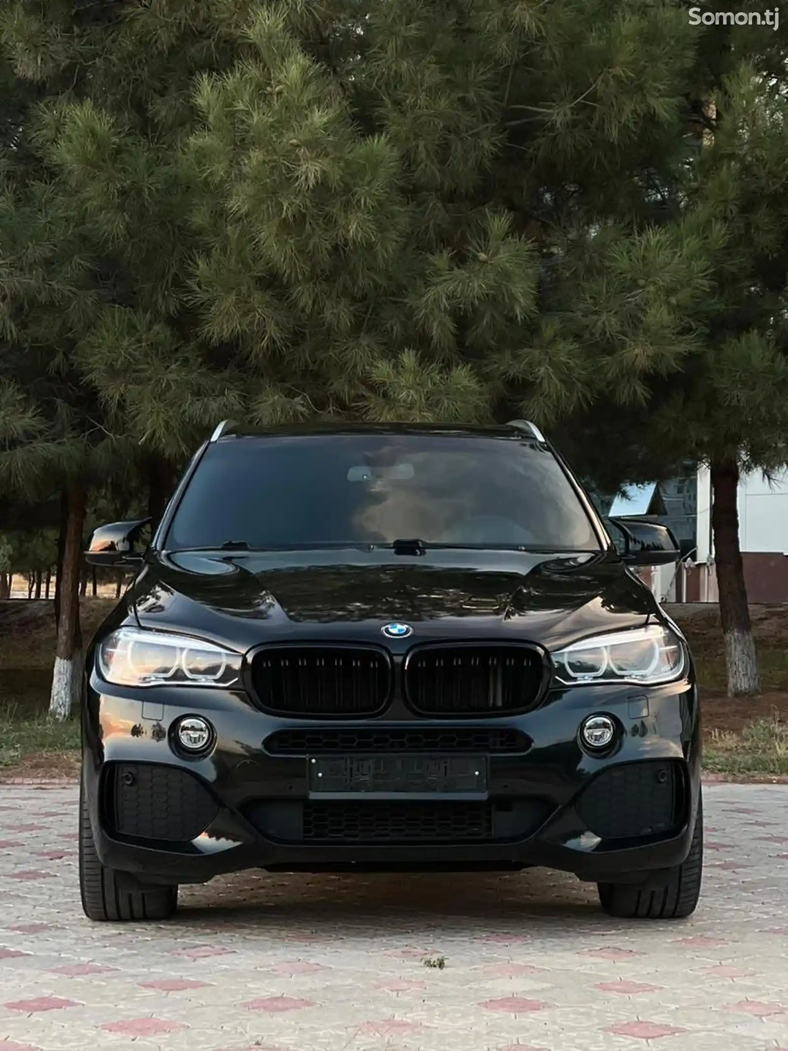 BMW X5, 2014-1