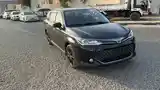 Toyota Fielder, 2016-6