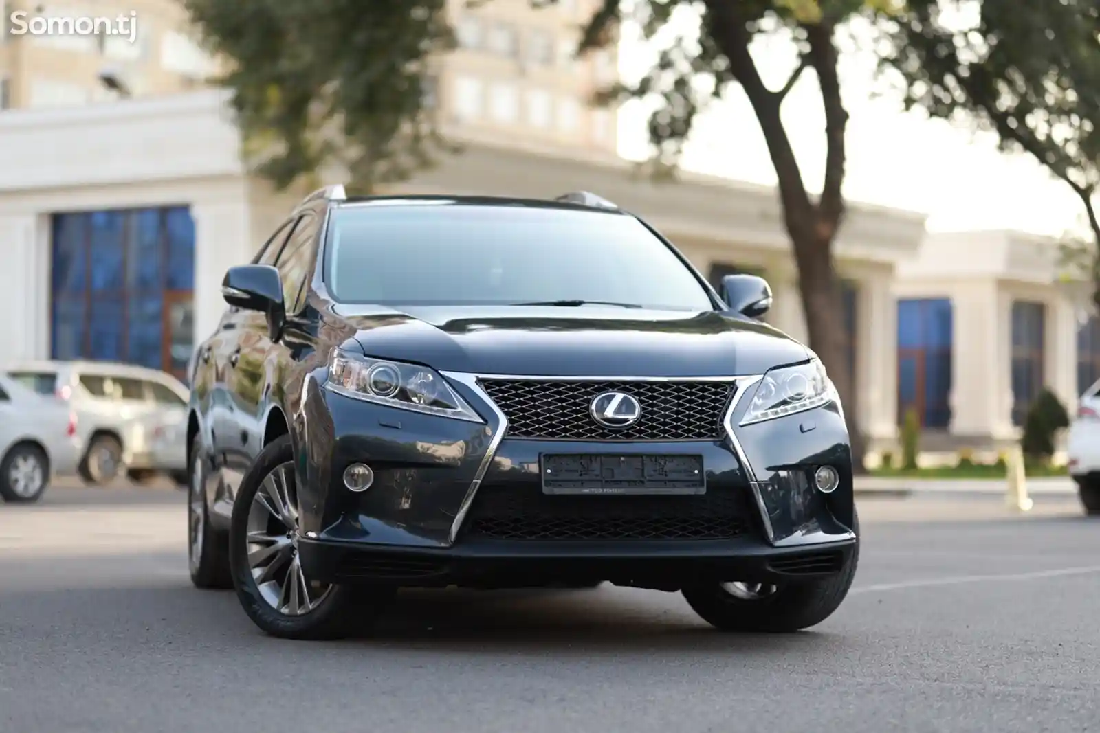 Lexus RX series, 2010-3