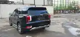 Hyundai Palisade, 2022-3