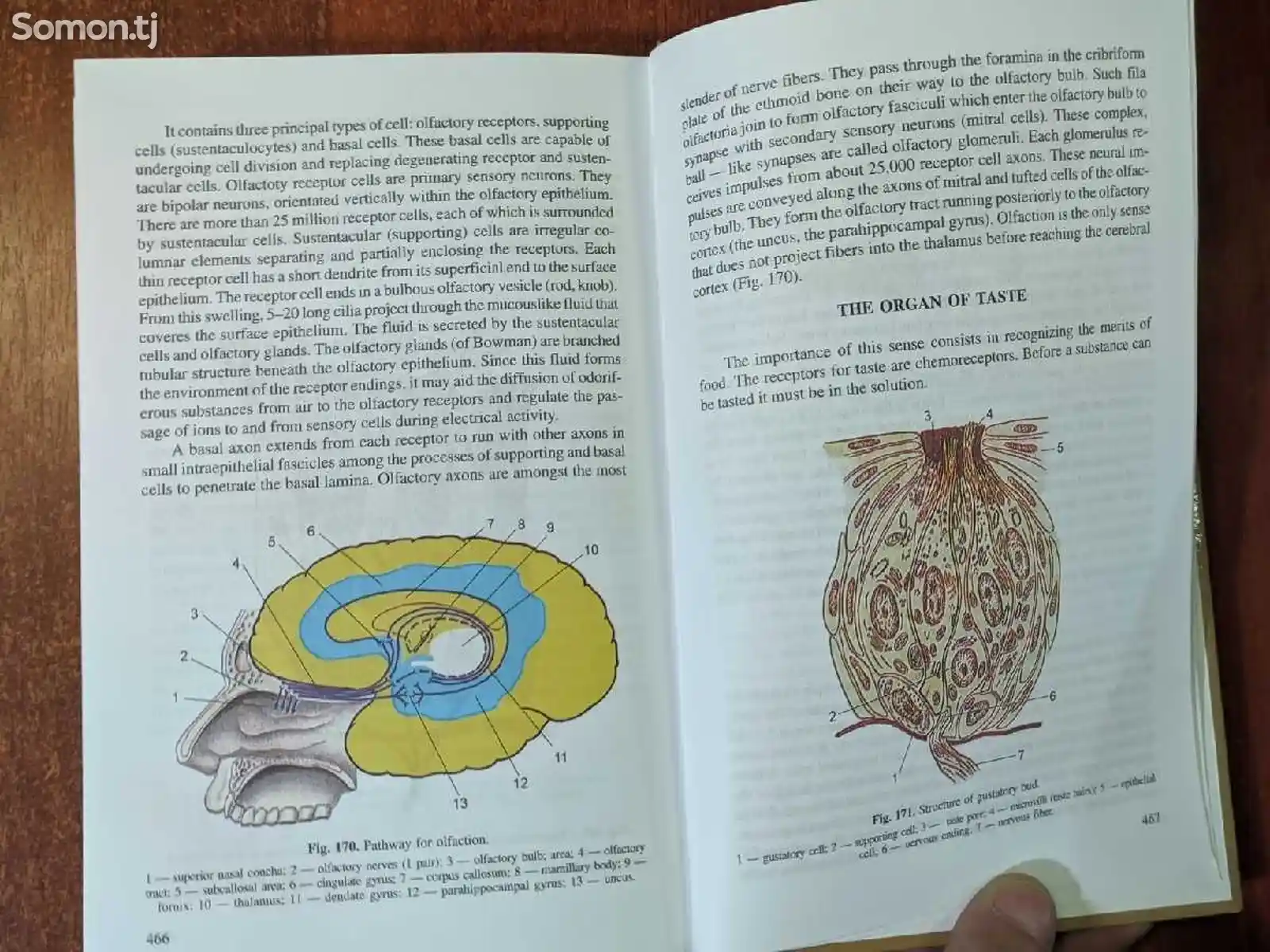 Книга по анатомии человека Textbook of Human Anatomy-11