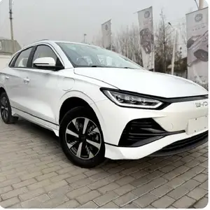 BYD B2, 2024