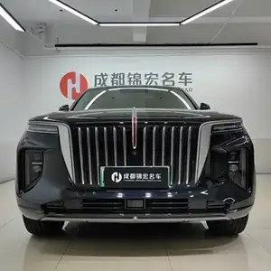 Hongqi E-HS9, 2021