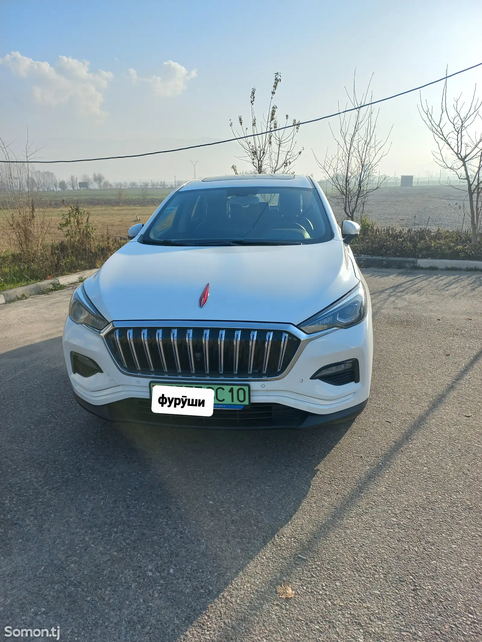 Hongqi E-HS3, 2019-1