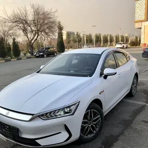 BYD Qin Plus, 2024