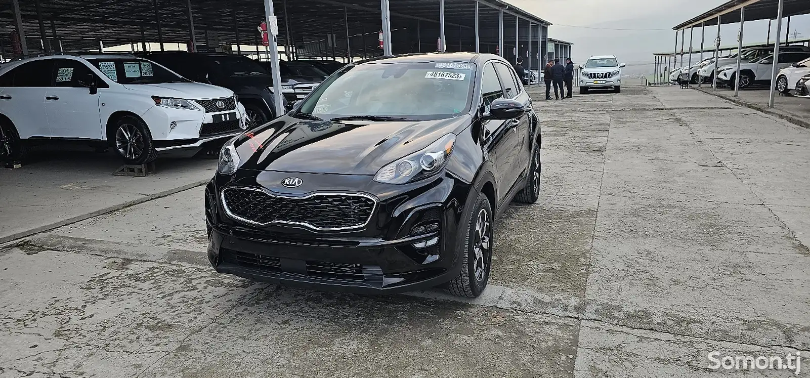 Kia Sportage, 2020-1