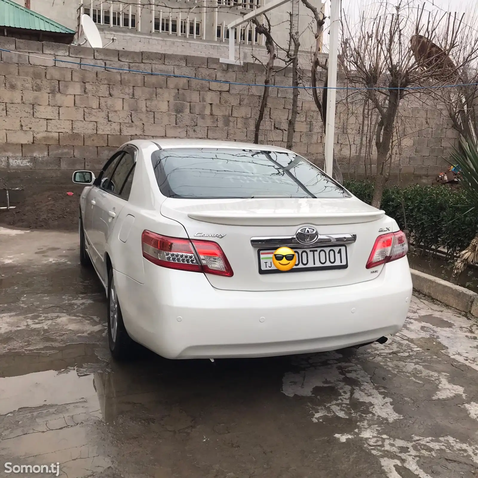 Toyota Camry, 2010-1