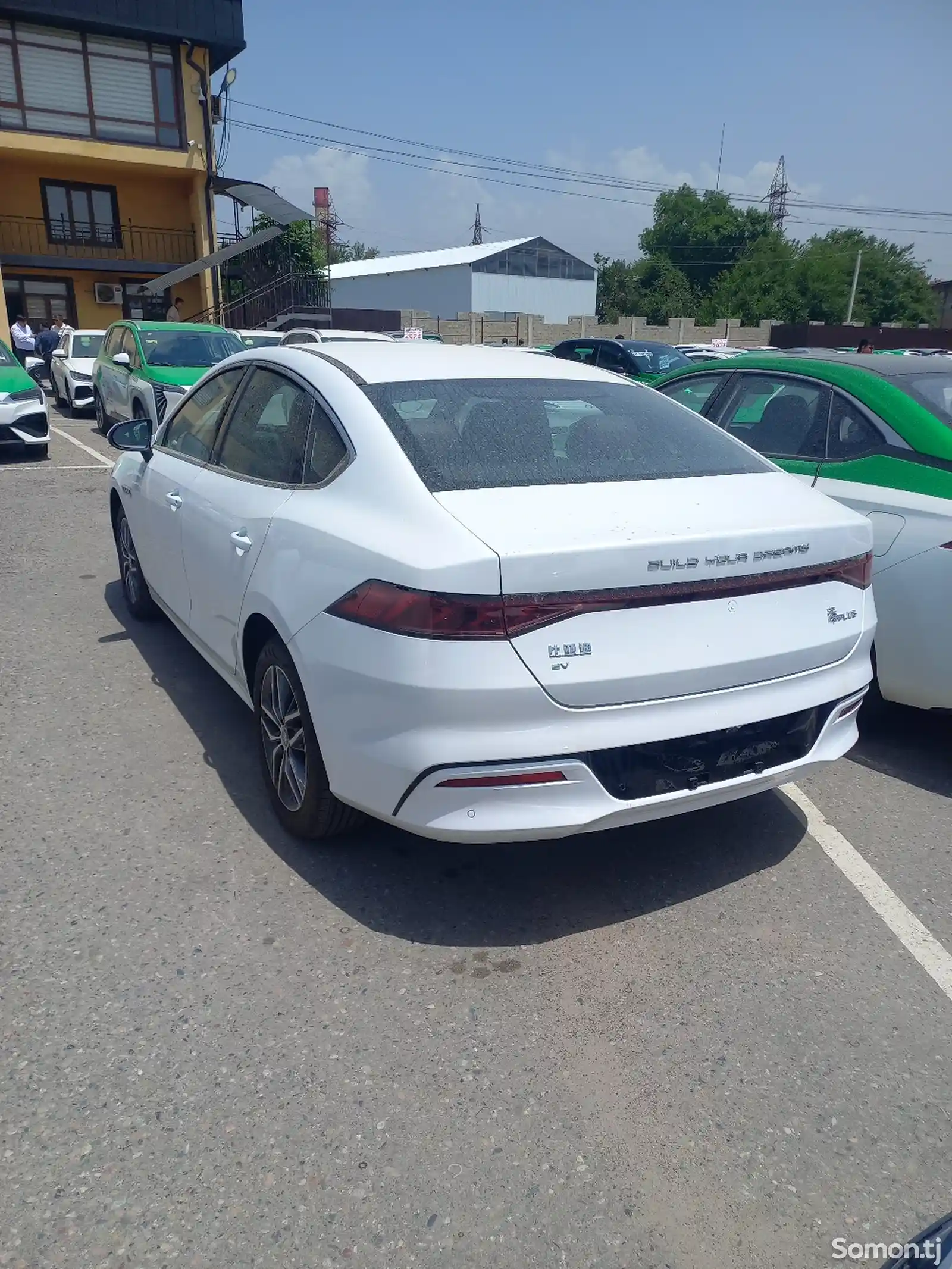 BYD Qin Plus, 2024-2