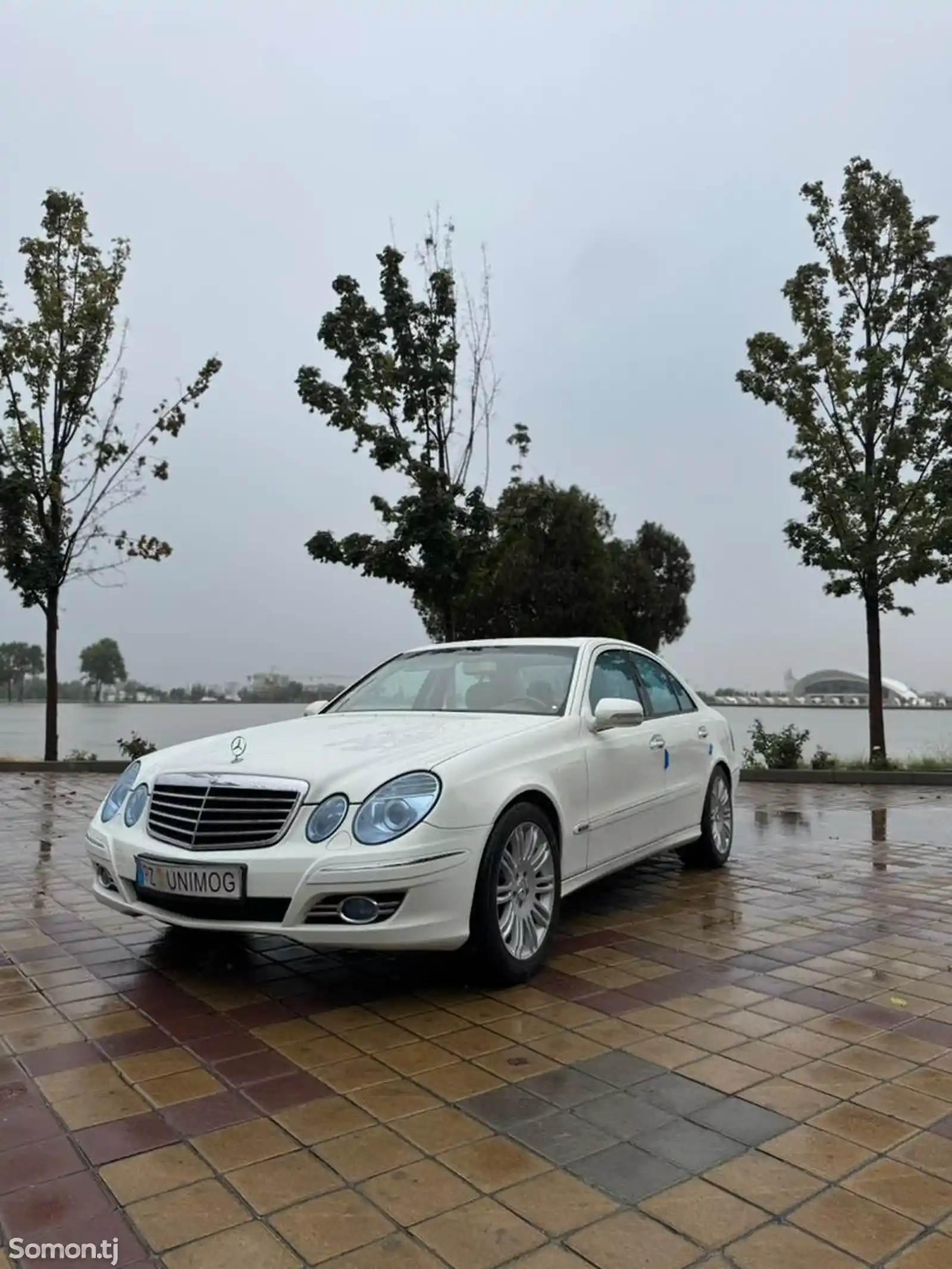 Mercedes-Benz E class, 2008-10