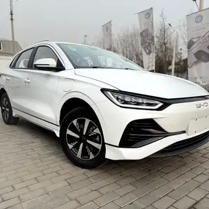 BYD E2, 2024