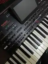 Синтезатор Korg pa 1000-3