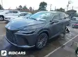 Lexus RX series, 2024-2