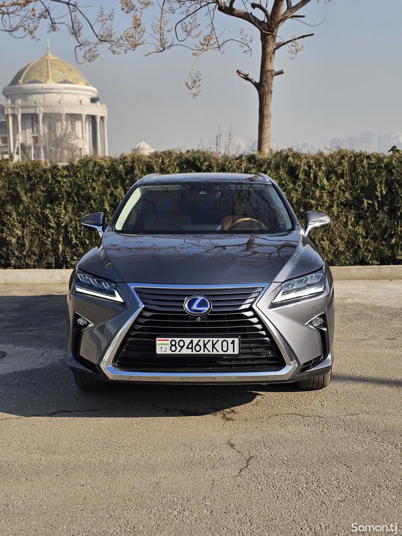 Lexus RX series, 2019