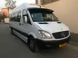 Пассажирский Mercedes-Benz Sprinter, 2008-3