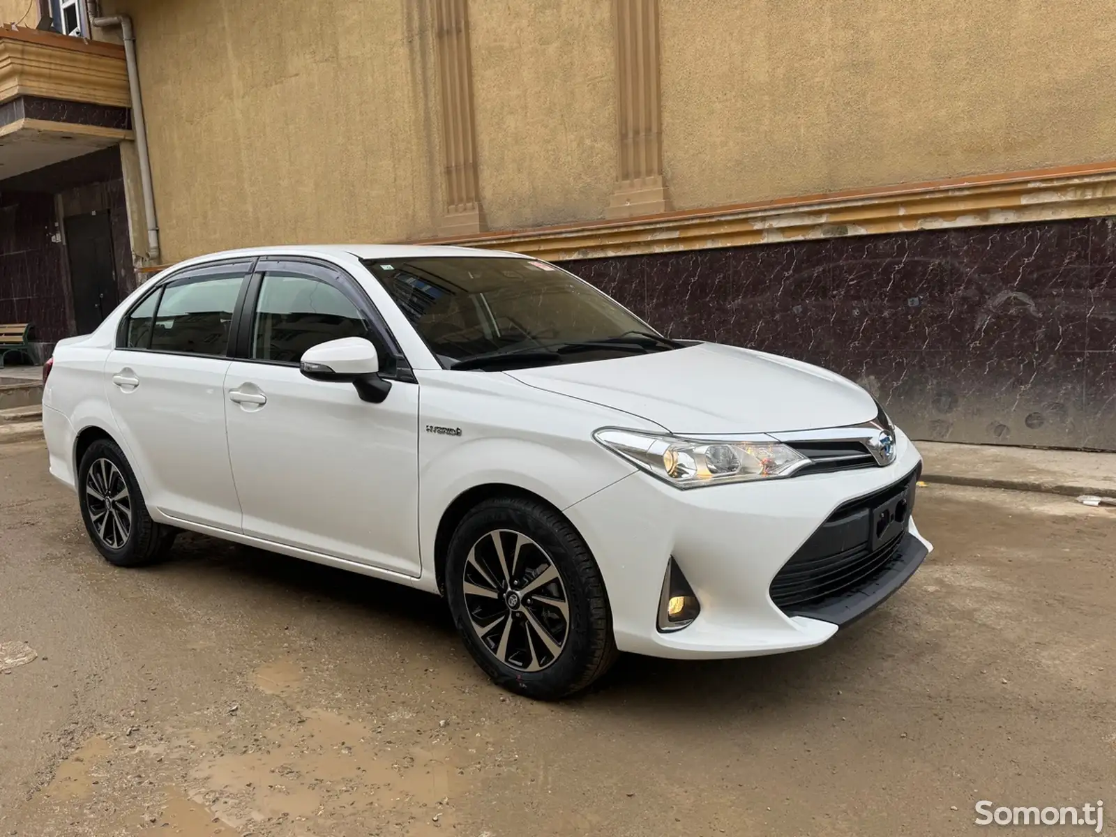 Toyota Axio, 2019-1