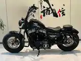 Мотоцикл Harley-Davidson Sportster на заказ-4