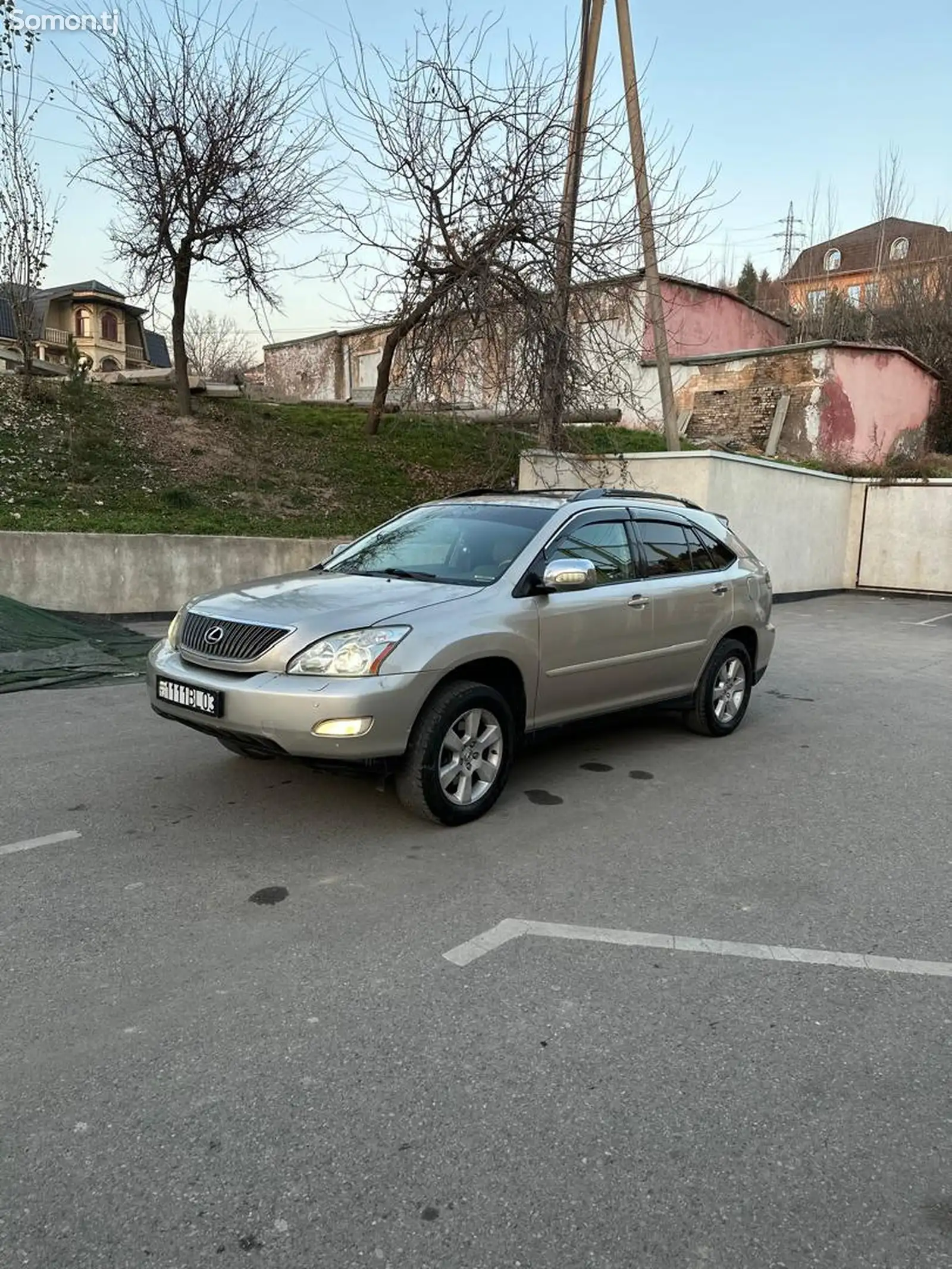 Lexus RX series, 2006-1