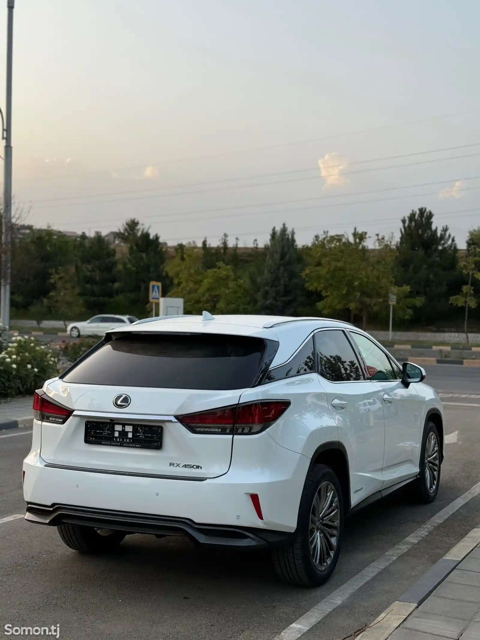 Lexus RX series, 2019-6