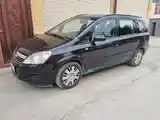 Opel Zafira, 2008-6