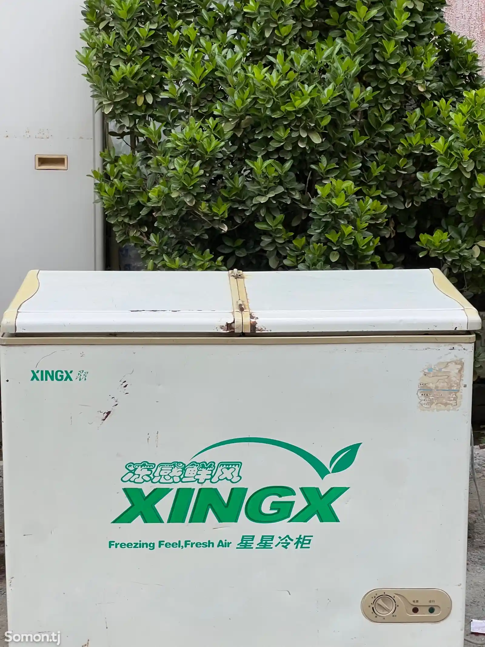 Холодильники Xingx-2