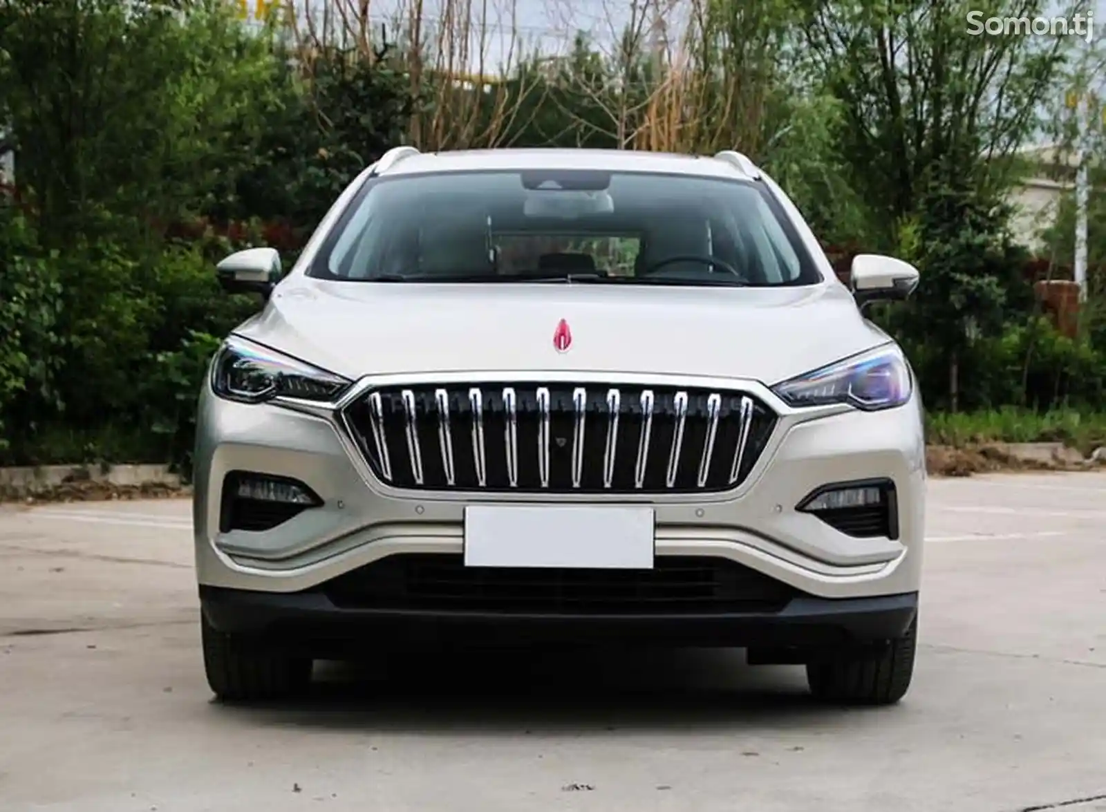 Hongqi E-HS3, 2019-1