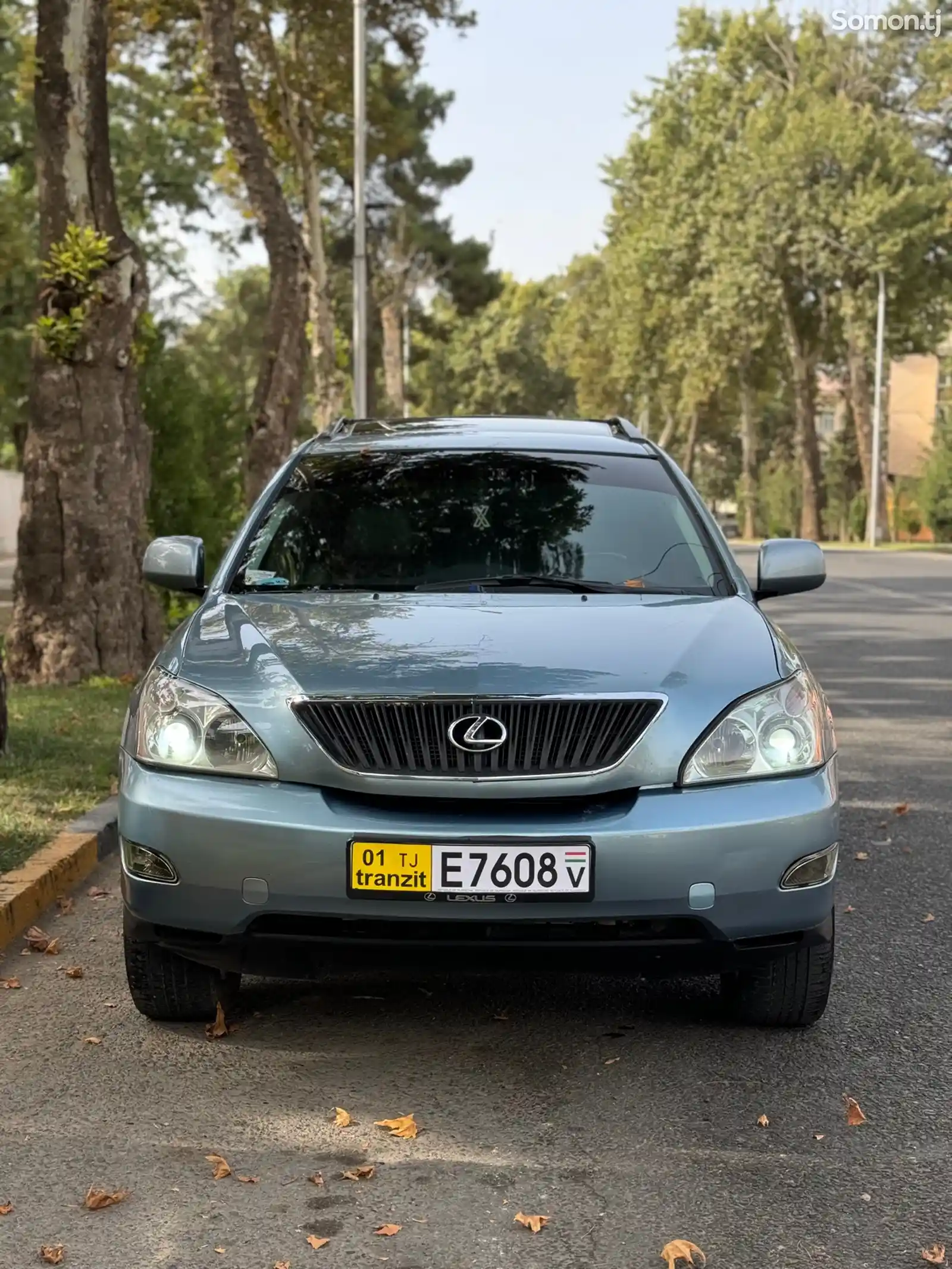 Lexus RX series, 2009-2