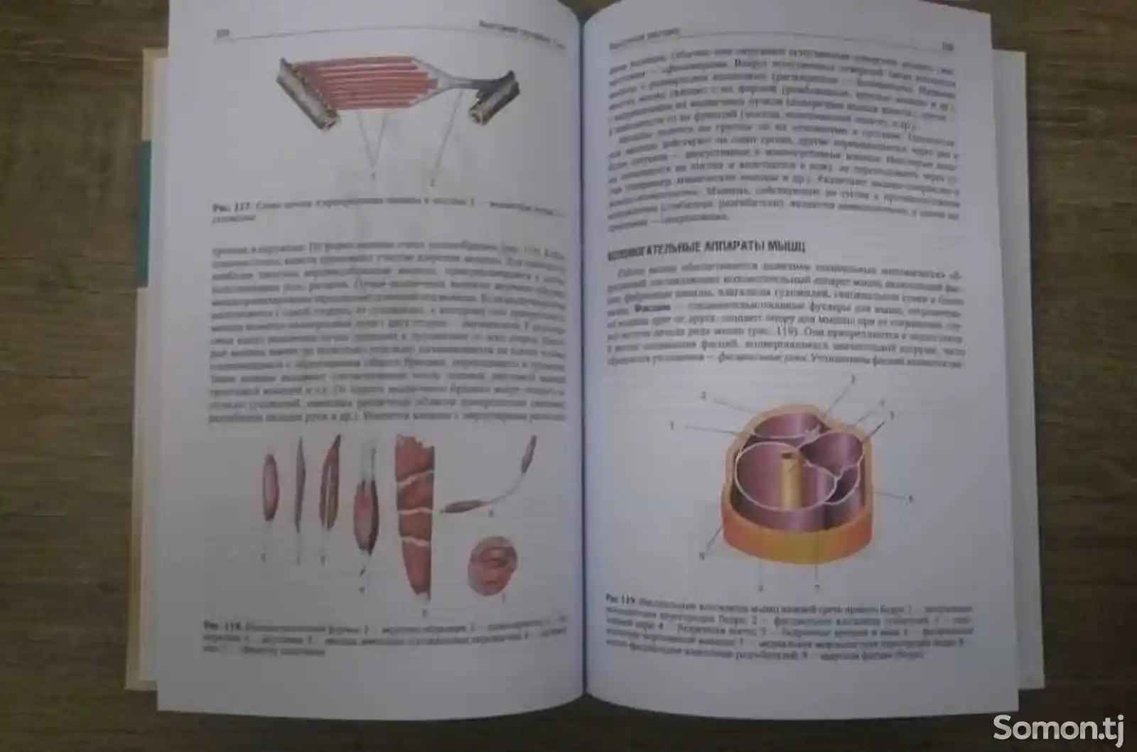 Книга Анатомия Человека Том 1-2-3