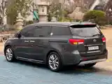 Kia Carnival, 2016-5