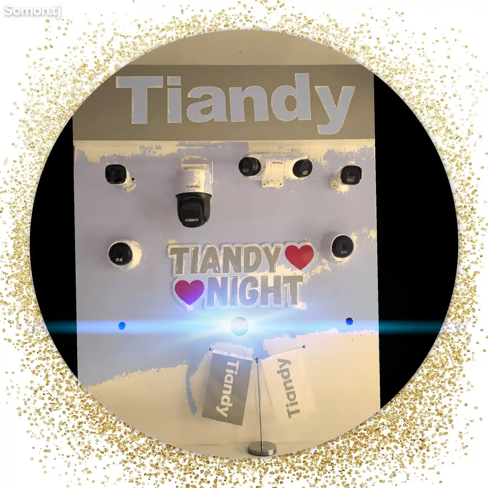 Tiandy Camera-1