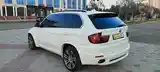 BMW X5, 2009-5