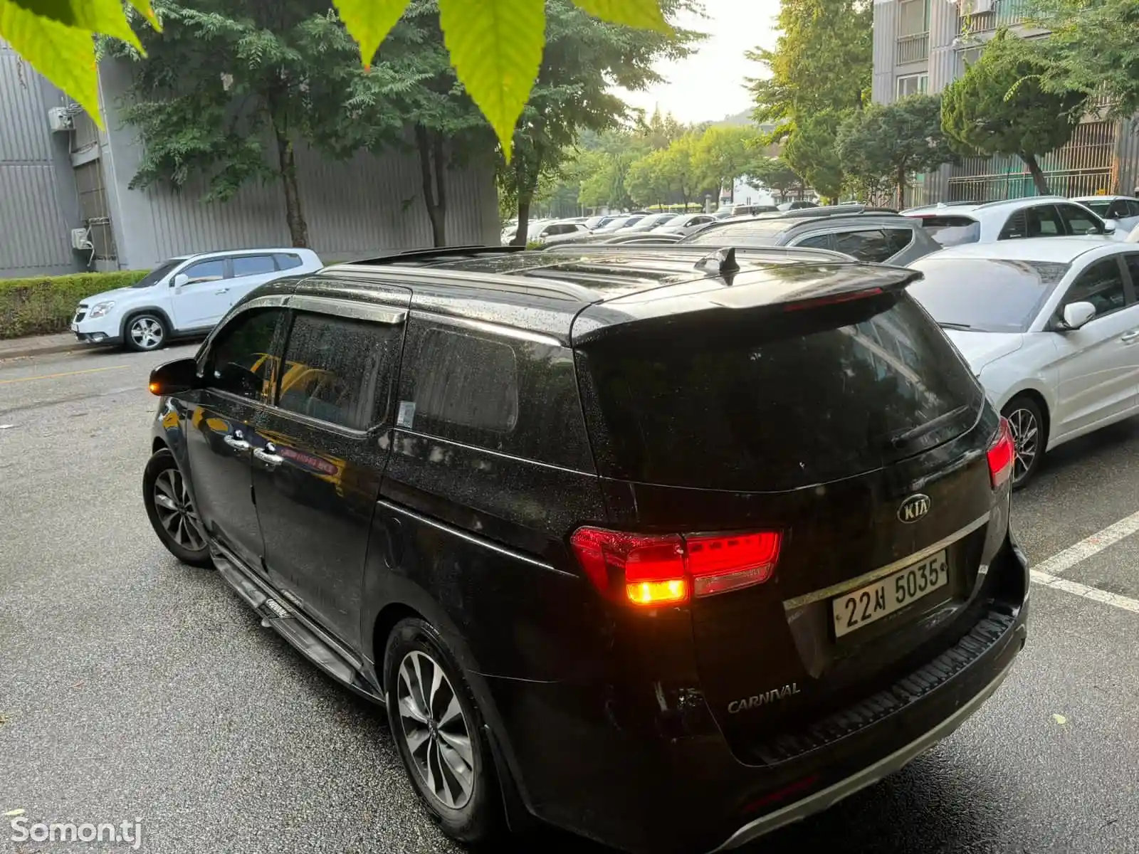 Kia Carnival, 2015-5