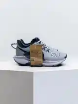 Кроссовки Nike pegasus Trail ATC-5