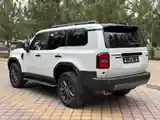 Toyota Land Cruiser Prado, 2024-5