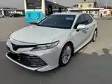 Toyota Camry, 2019-2