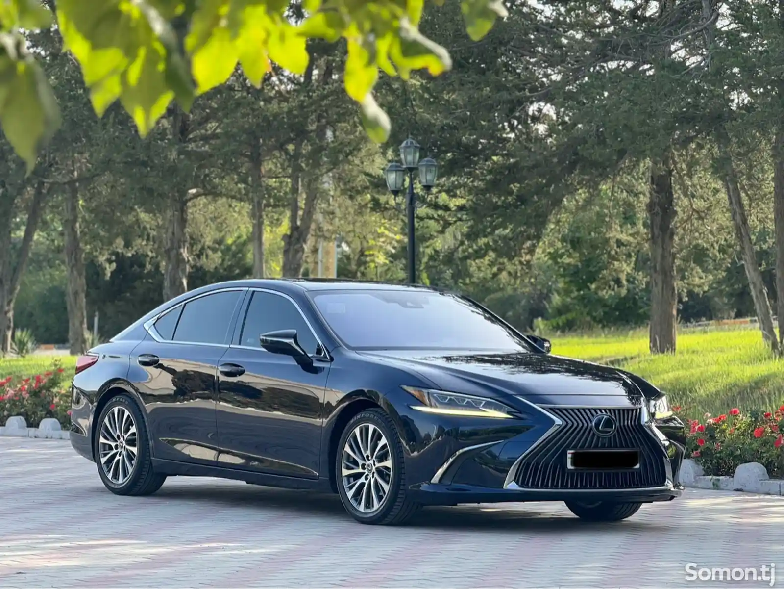 Lexus ES series, 2019-2