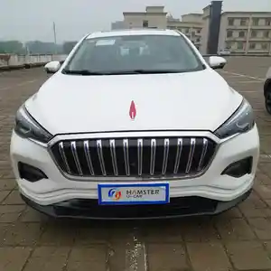 Hongqi E-HS3, 2019