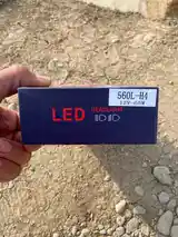 Лампочки LED-2