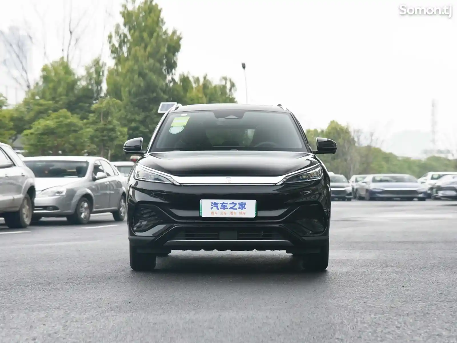 BYD Yuan Plus, 2024-3