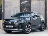 Lexus NX series, 2019-2