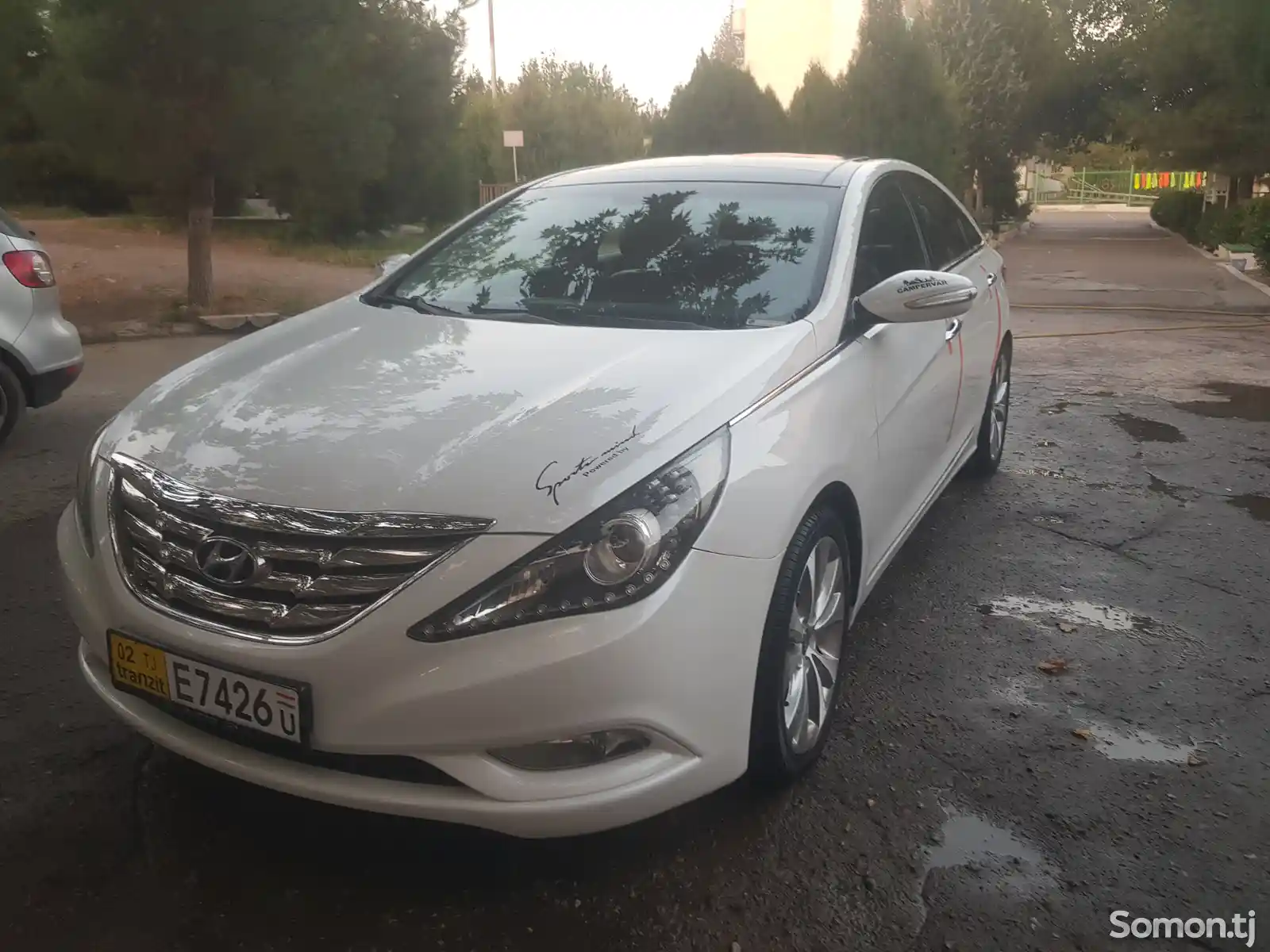 Hyundai Sonata, 2010-4