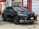 Lexus RX series, 2019-6