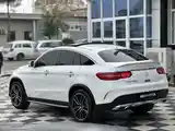 Mercedes-Benz GLE class, 2017-5