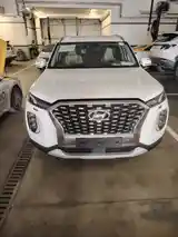 Hyundai Palisade, 2020-5