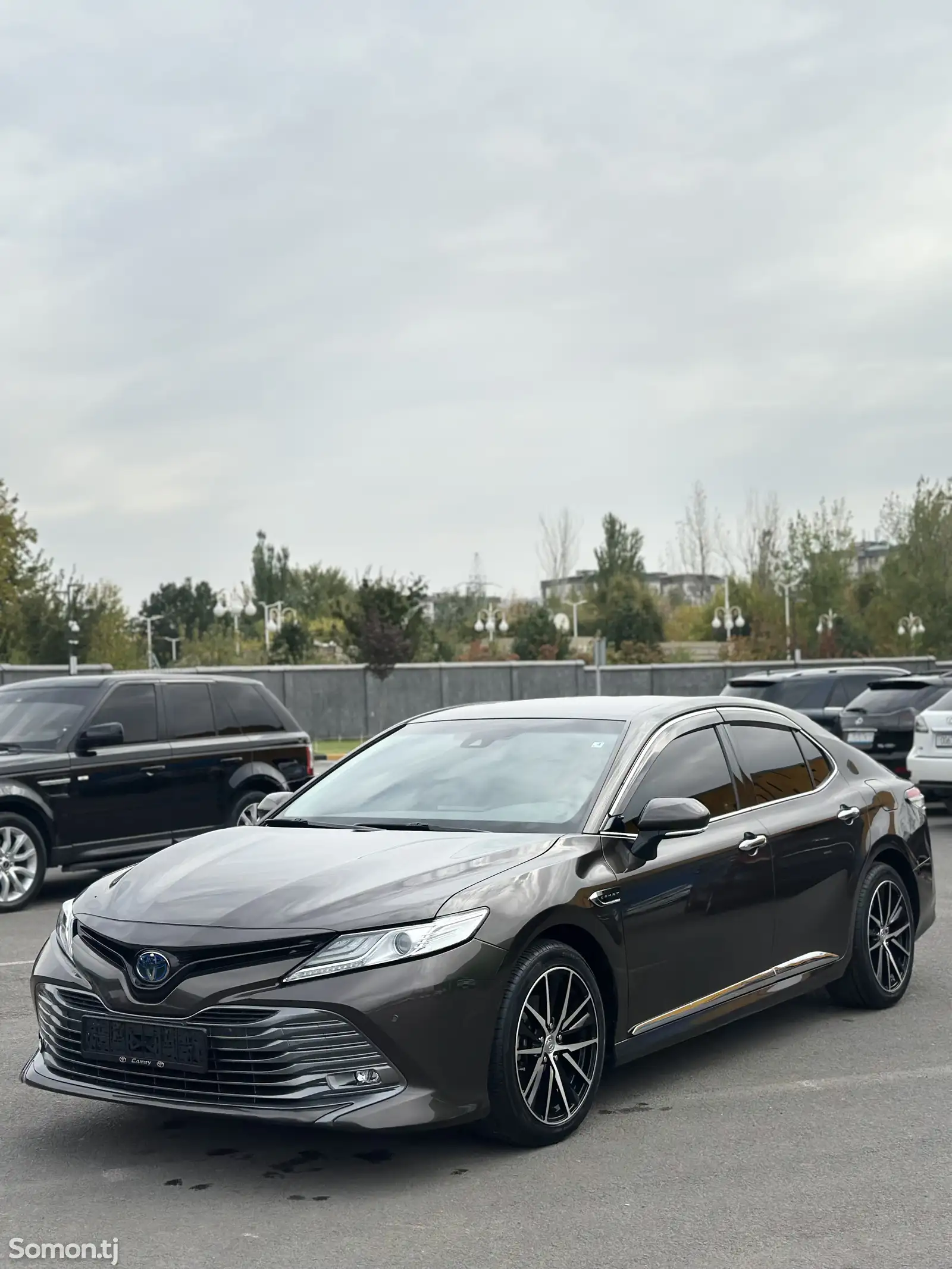 Toyota Camry, 2019-2