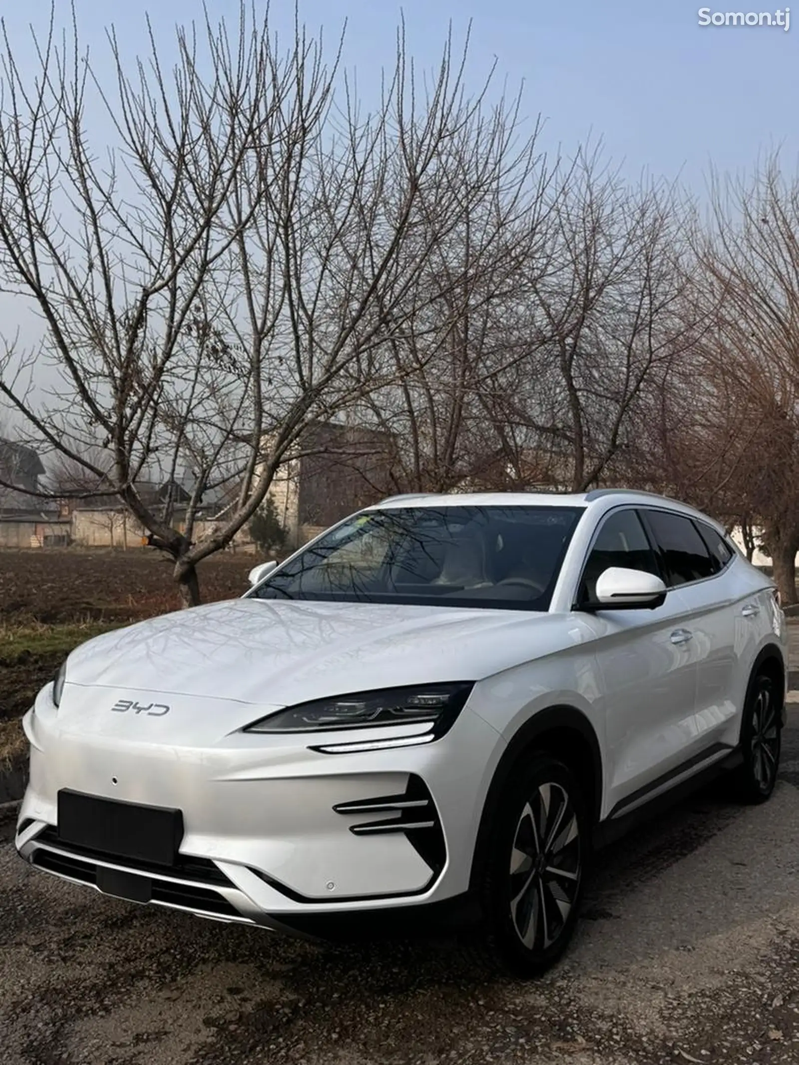 BYD Song Plus Flagship, 2024-1