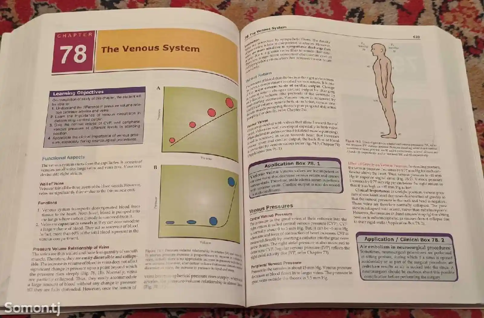 Книга Medical Physiology-7