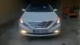 Hyundai Sonata, 2010-6